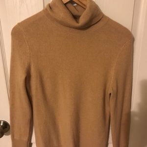 Cashmere Alex Marie turtleneck